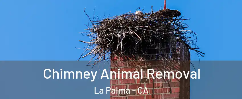  Chimney Animal Removal La Palma - CA