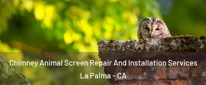  Chimney Animal Screen Repair And Installation Services La Palma - CA