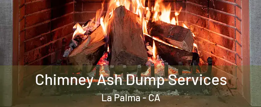  Chimney Ash Dump Services La Palma - CA
