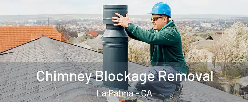  Chimney Blockage Removal La Palma - CA