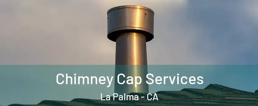  Chimney Cap Services La Palma - CA