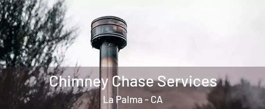  Chimney Chase Services La Palma - CA