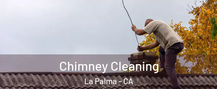  Chimney Cleaning La Palma - CA