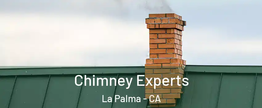  Chimney Experts La Palma - CA
