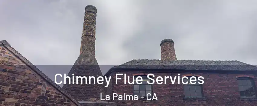  Chimney Flue Services La Palma - CA