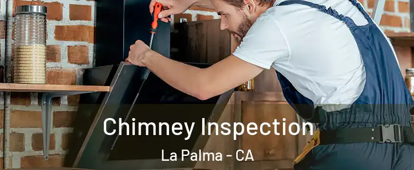  Chimney Inspection La Palma - CA
