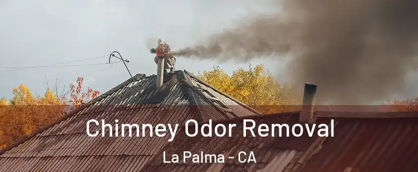 Chimney Odor Removal La Palma - CA
