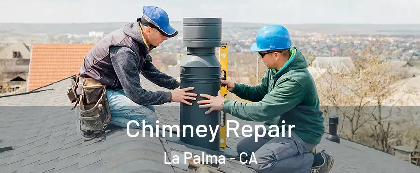  Chimney Repair La Palma - CA