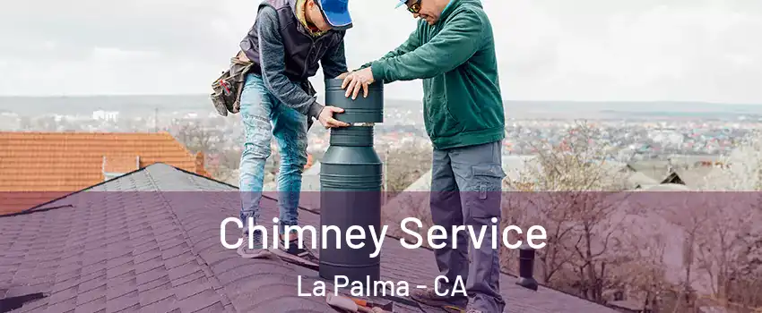  Chimney Service La Palma - CA