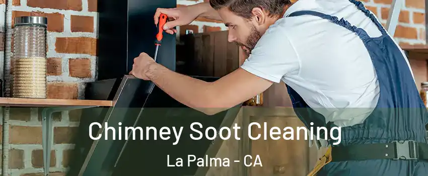  Chimney Soot Cleaning La Palma - CA