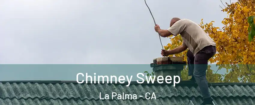  Chimney Sweep La Palma - CA