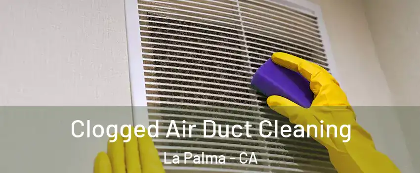  Clogged Air Duct Cleaning La Palma - CA