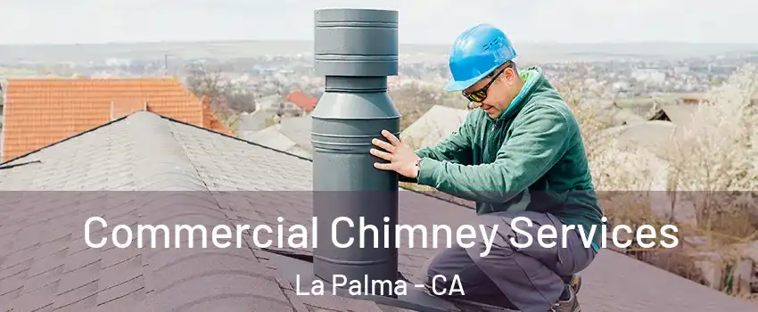  Commercial Chimney Services La Palma - CA