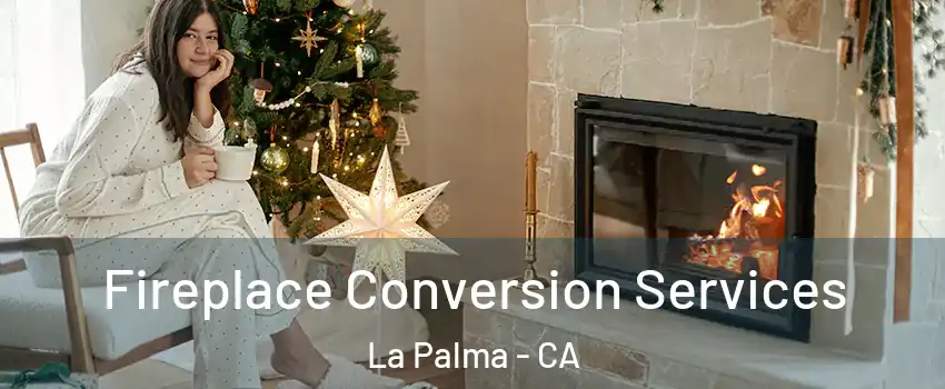  Fireplace Conversion Services La Palma - CA