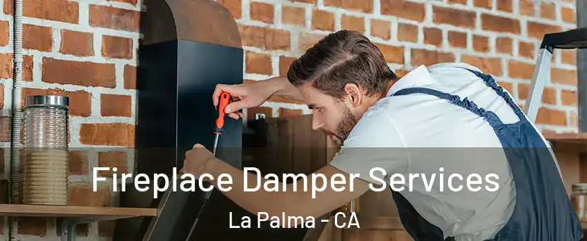  Fireplace Damper Services La Palma - CA