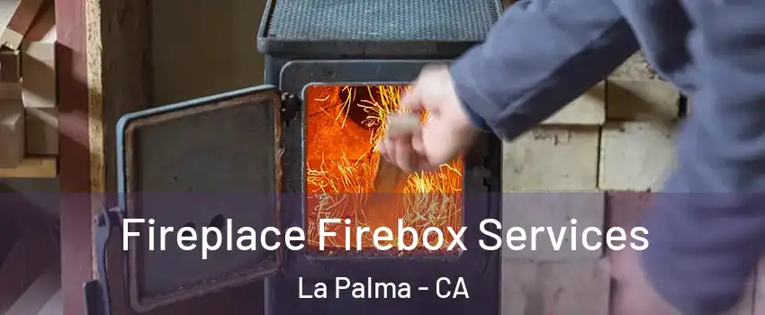  Fireplace Firebox Services La Palma - CA