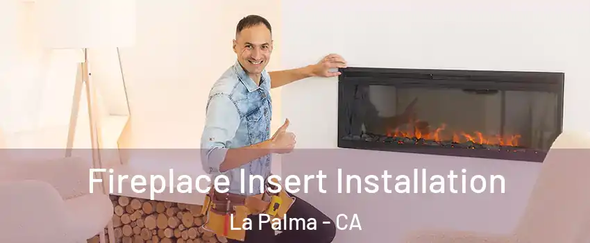  Fireplace Insert Installation La Palma - CA