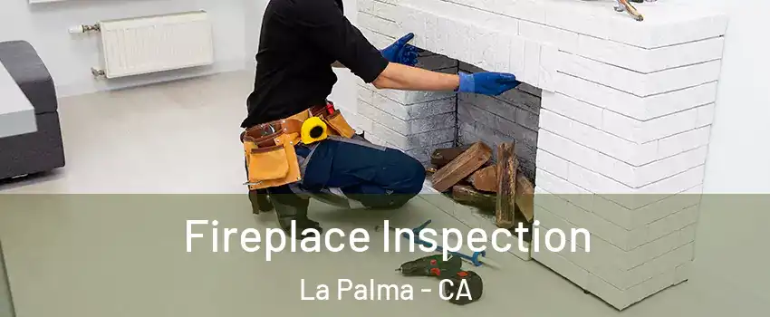  Fireplace Inspection La Palma - CA
