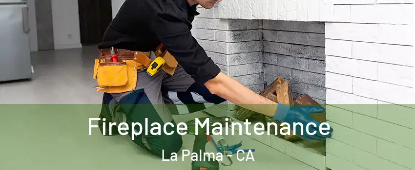 Fireplace Maintenance La Palma - CA