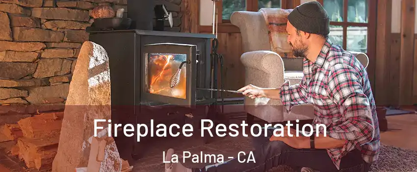  Fireplace Restoration La Palma - CA