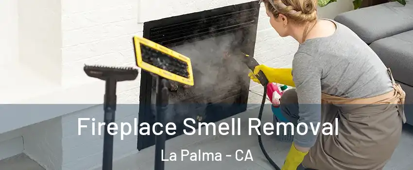  Fireplace Smell Removal La Palma - CA