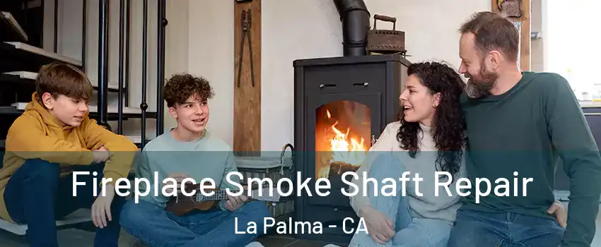  Fireplace Smoke Shaft Repair La Palma - CA