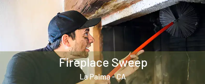  Fireplace Sweep La Palma - CA