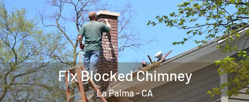  Fix Blocked Chimney La Palma - CA
