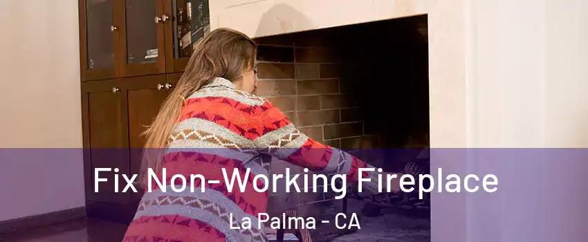  Fix Non-Working Fireplace La Palma - CA