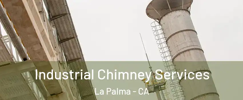  Industrial Chimney Services La Palma - CA