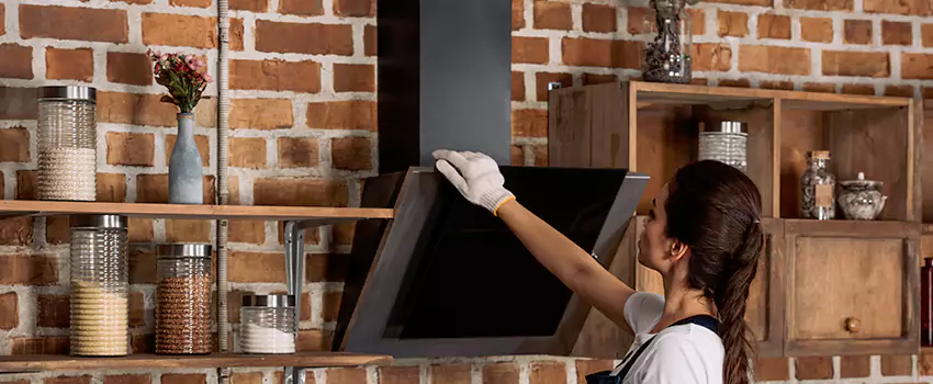 Chimney Installation in La Palma, CA