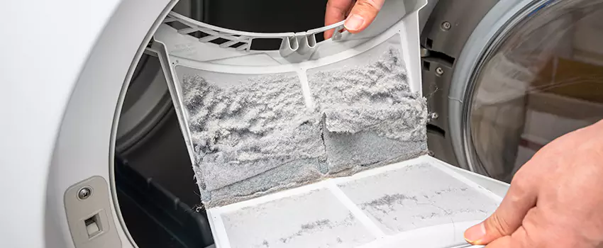 Best Dryer Lint Removal Company in La Palma, California