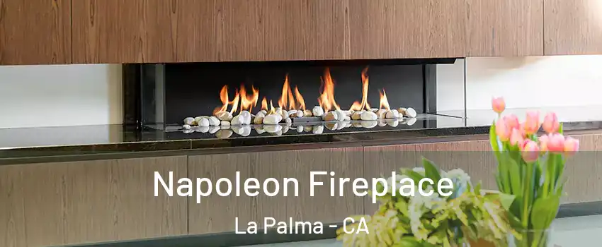  Napoleon Fireplace La Palma - CA